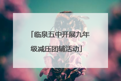 临泉五中开展九年级减压团辅活动