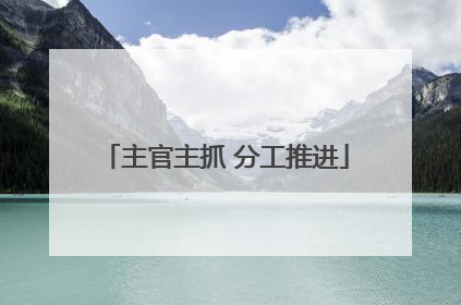 主官主抓 分工推进