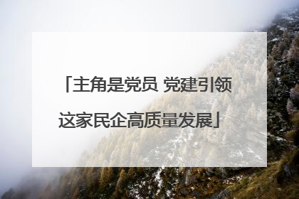 主角是党员 党建引领这家民企高质量发展