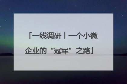 一线调研丨一个小微企业的“冠军”之路
