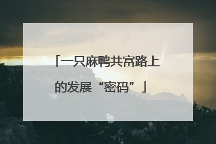 一只麻鸭共富路上的发展“密码”