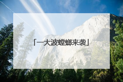 一大波螳螂来袭