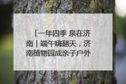 一年四季 泉在济南｜端午嗨翻天，济南植物园成亲子户外热门打卡地