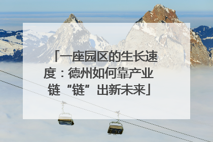 一座园区的生长速度：德州如何靠产业链“链”出新未来