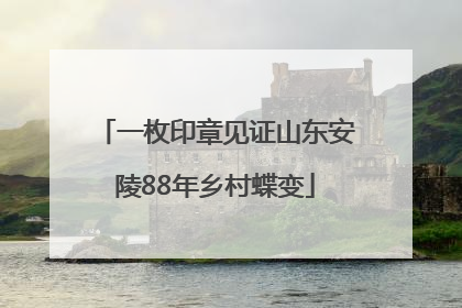 一枚印章见证山东安陵88年乡村蝶变