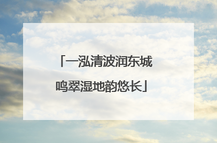 一泓清波润东城 鸣翠湿地韵悠长