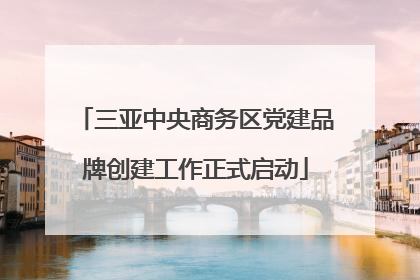 三亚中央商务区党建品牌创建工作正式启动