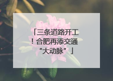 三条道路开工！合肥再添交通“大动脉”
