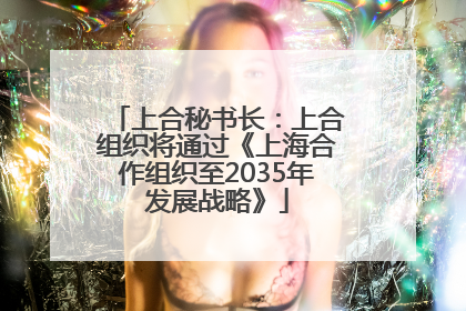 上合秘书长：上合组织将通过《上海合作组织至2035年发展战略》