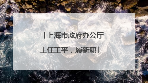 上海市政府办公厅主任王平，履新职