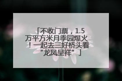 不收门票，1.5万平方米月季园爆火！一起去三好桥头看“龙凤呈祥”