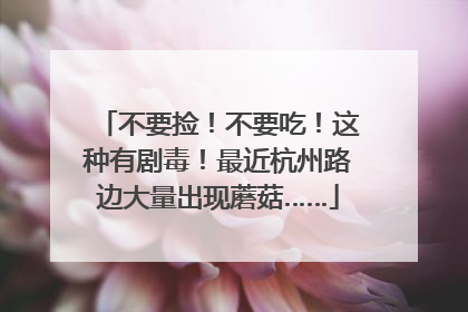 不要捡！不要吃！这种有剧毒！最近杭州路边大量出现蘑菇……
