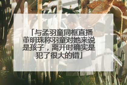 与孟羽童同框直播 董明珠称羽童对她来说是孩子，离开时确实是犯了很大的错