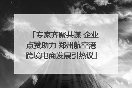 专家齐聚共谋 企业点赞助力 郑州航空港跨境电商发展引热议