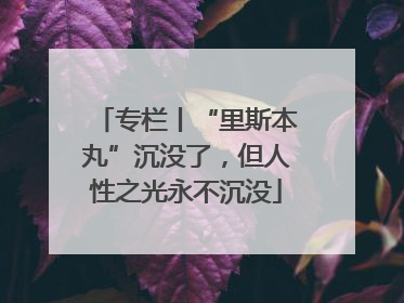 专栏丨“里斯本丸”沉没了，但人性之光永不沉没
