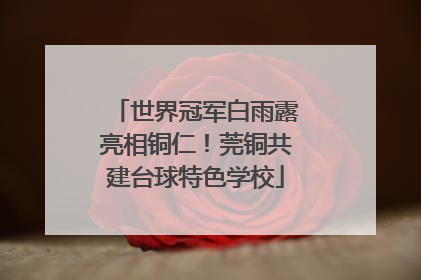 世界冠军白雨露亮相铜仁！莞铜共建台球特色学校
