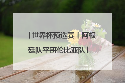 世界杯预选赛丨阿根廷队平哥伦比亚队