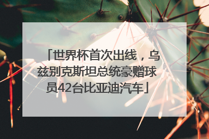 世界杯首次出线，乌兹别克斯坦总统豪赠球员42台比亚迪汽车