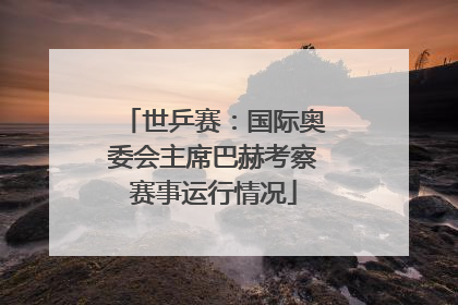 世乒赛：国际奥委会主席巴赫考察赛事运行情况