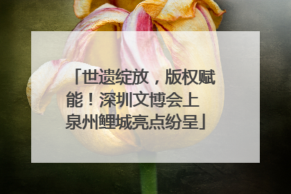 世遗绽放，版权赋能！深圳文博会上 泉州鲤城亮点纷呈