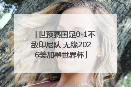 世预赛国足0-1不敌印尼队 无缘2026美加墨世界杯