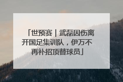 世预赛｜武磊因伤离开国足集训队，伊万不再补招顶替球员