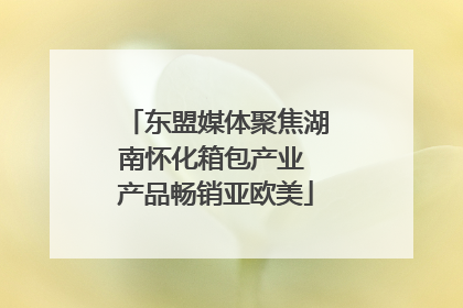东盟媒体聚焦湖南怀化箱包产业 产品畅销亚欧美