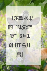 东盟水果的“味觉盛宴”6月18日在邕开启