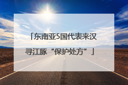 东南亚5国代表来汉寻江豚“保护处方”