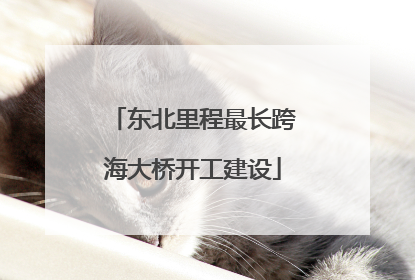 东北里程最长跨海大桥开工建设