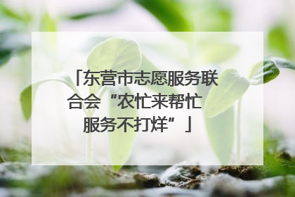 东营市志愿服务联合会“农忙来帮忙 服务不打烊”