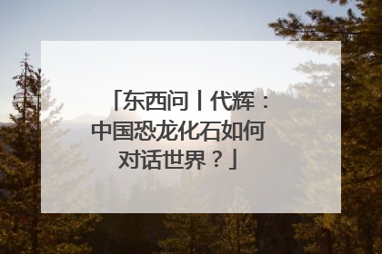 东西问丨代辉：中国恐龙化石如何对话世界？