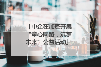 中企在加蓬开展“童心同路，筑梦未来”公益活动