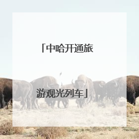 中哈开通旅游观光列车