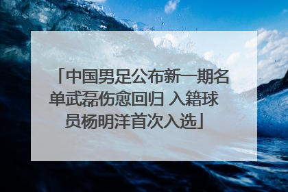中国男足公布新一期名单武磊伤愈回归 入籍球员杨明洋首次入选