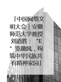中国网络文明大会｜安徽师范大学教授刘道胜：“E”览徽风，构筑中华民族共有精神家园