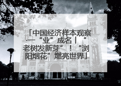 中国经济样本观察·一“业”成名丨“老树发新芽”！“浏阳烟花”燃亮世界