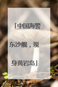 中国海警东沙舰，现身黄岩岛