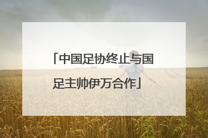 中国足协终止与国足主帅伊万合作