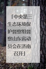 中央第三生态环境保护督察组督察山东省动员会在济南召开