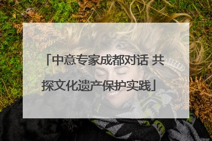 中意专家成都对话 共探文化遗产保护实践