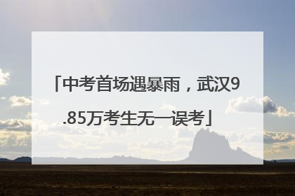 中考首场遇暴雨，武汉9.85万考生无一误考