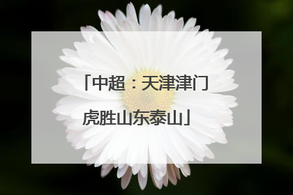 中超：天津津门虎胜山东泰山