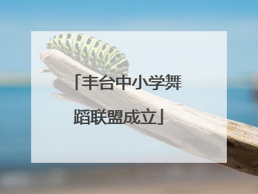 丰台中小学舞蹈联盟成立
