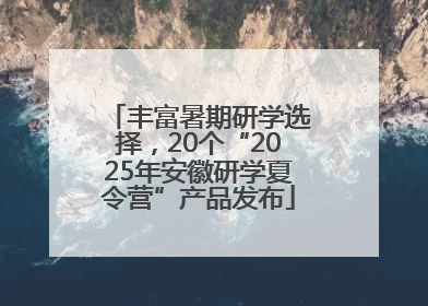 丰富暑期研学选择，20个“2025年安徽研学夏令营”产品发布