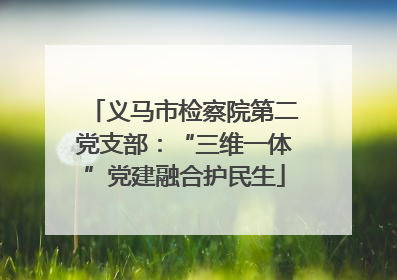 义马市检察院第二党支部：“三维一体”党建融合护民生