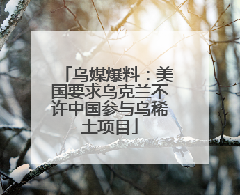 乌媒爆料：美国要求乌克兰不许中国参与乌稀土项目