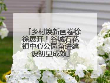 乡村焕新画卷徐徐展开！谷城石花镇中心公园奋进建设初显成效