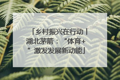 乡村振兴在行动丨湖北茅箭：“体育+”激发发展新动能