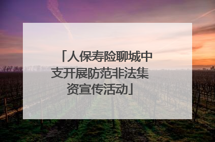 人保寿险聊城中支开展防范非法集资宣传活动